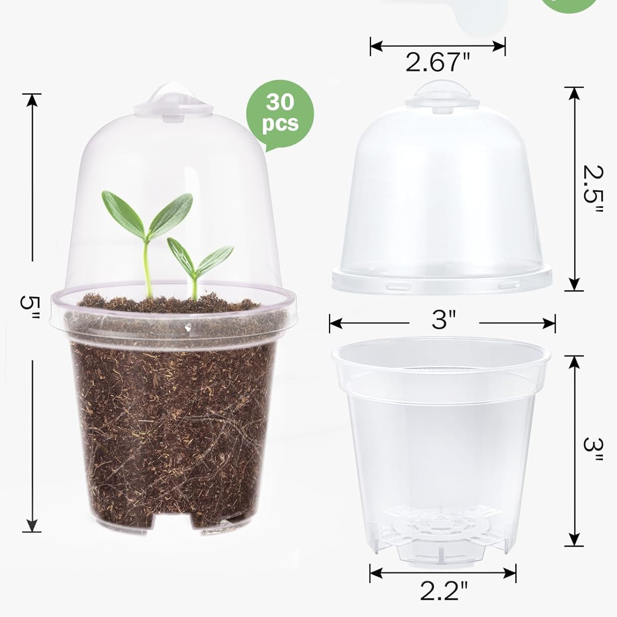 Self-Watering Cup with Dome & Wick