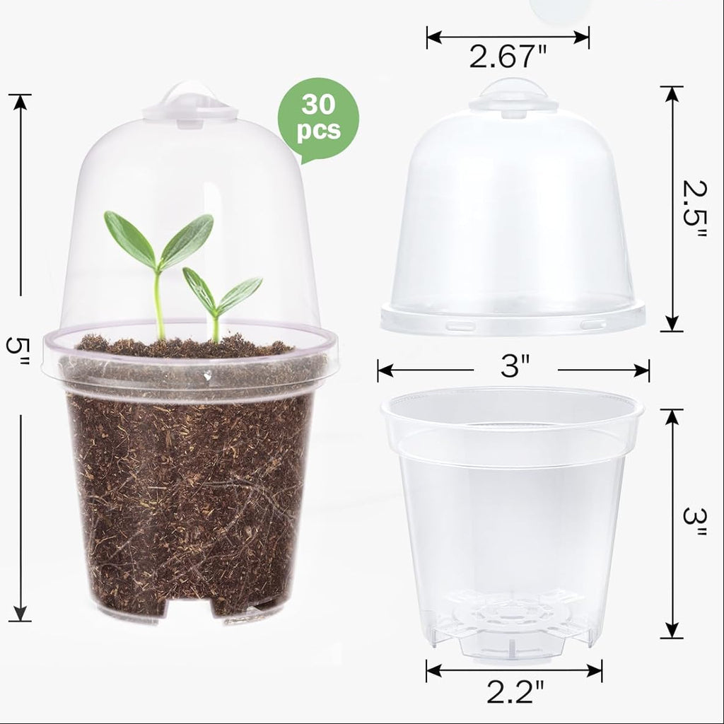 Tissue Culture Acclimation Kit (1 ct)