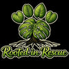 Rooted in Rescue - Home