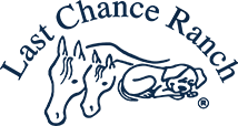 Last Chance Ranch
